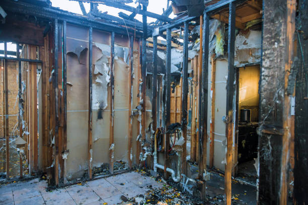 Professional Soot Cleanup technician working in Cottage Grove, WI
